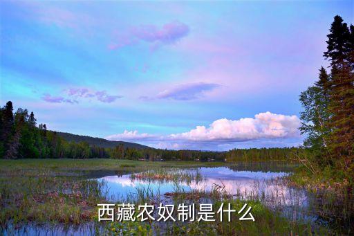 農(nóng)奴制，農(nóng)奴制與奴隸制一樣么