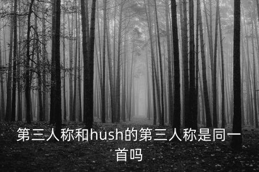 第三人稱和hush的第三人稱是同一首嗎