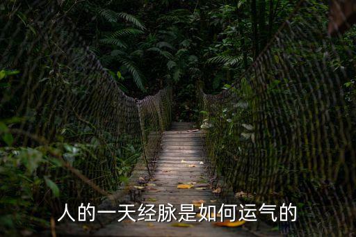 人的一天經脈是如何運氣的