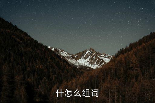 什字組詞，什怎么組詞