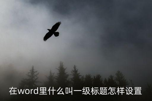 在word里什么叫一級標(biāo)題怎樣設(shè)置