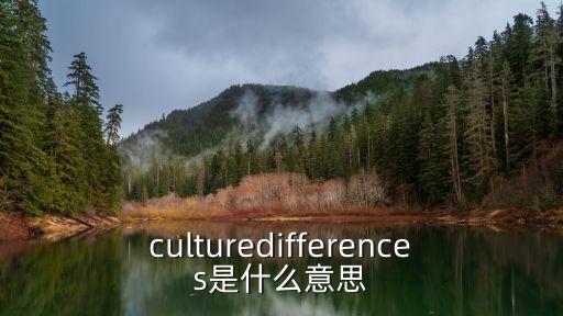 culturedifferences是什么意思