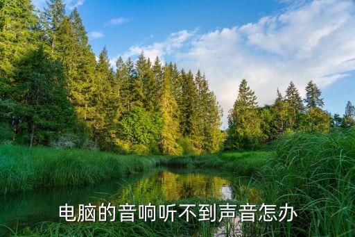 電腦音響沒聲音怎么辦，電腦的音響聽不到聲音怎辦