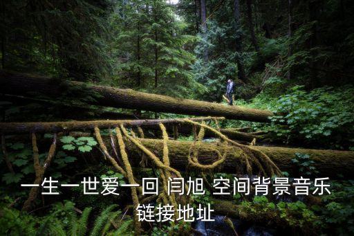 一生一世愛(ài)一回 閆旭 空間背景音樂(lè)鏈接地址