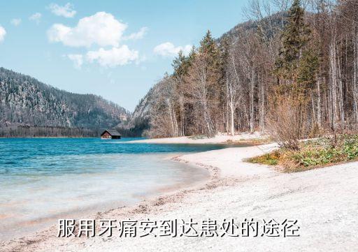 牙痛安，服用牙痛安到達患處的途徑