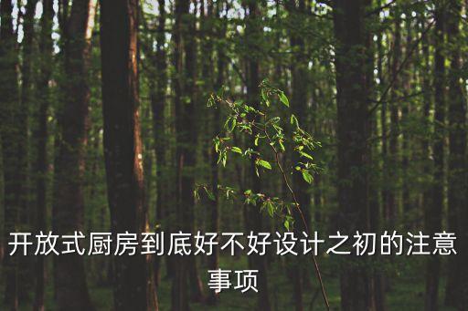 開放式廚房到底好不好設計之初的注意事項