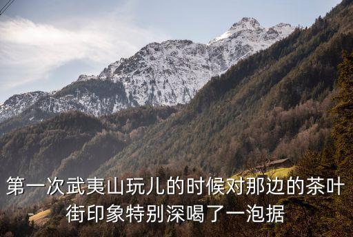 白芽奇蘭茶，白芽奇蘭產(chǎn)地在哪里