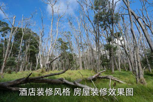 酒莊裝修效果圖，求助法國葡萄酒莊園品酒廳設(shè)計(jì)效果圖