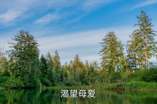 欲望母愛，渴望母愛 閱讀答案