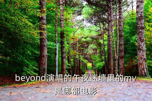 午夜迷墻，Beyond的歌曲午夜迷墻中留低了生命這句是什么意思相當