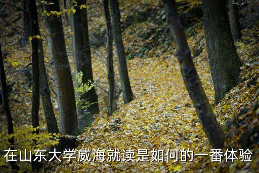 在山東大學威海就讀是如何的一番體驗