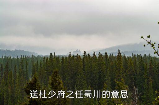 送杜少府之任蜀川的意思