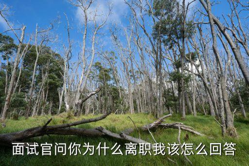 面試問離職原因，面試問離職原因如何回答較好