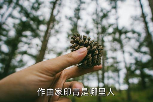 印青簡歷，作曲家印青是哪里人
