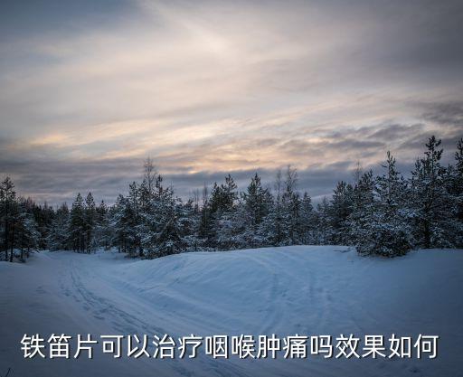 鐵笛片，鐵笛片服用的時候應該注意哪些呢