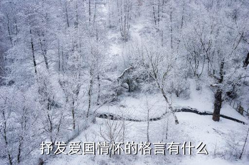 愛國情懷的名言，抒發愛國情懷的格言有什么