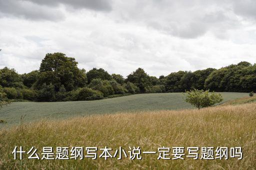題綱，什么是題綱寫本小說一定要寫題綱嗎