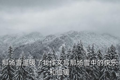 那一場雪，那場雪溫暖了我作文寫那場雪中的快樂和溫暖