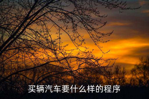 買車步驟，買轎車都要有什么程序