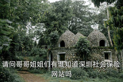 請問哥哥姐姐們有誰知道深圳社會保險網站嗎