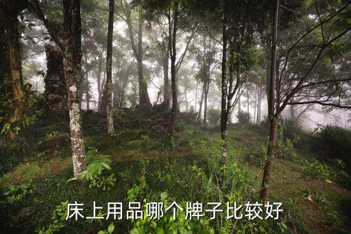 床上用品十大品牌排名，床上用品品牌排行榜