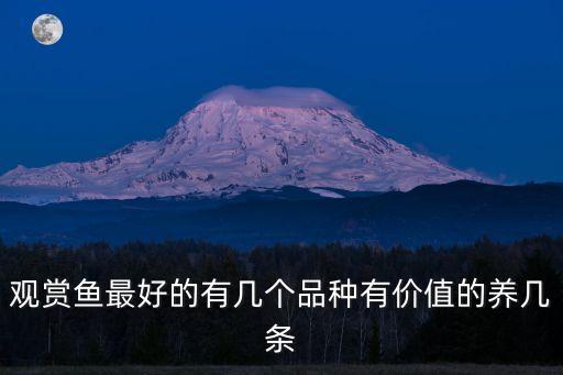觀賞魚最好的有幾個品種有價值的養幾條