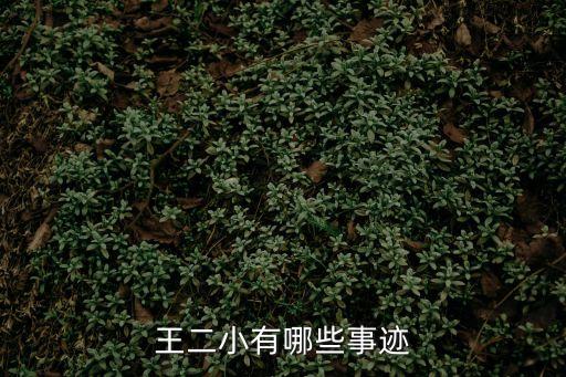 王二小的英雄事跡，王二小有哪些事跡