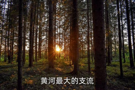 黃河最大支流，黃河最大的支流
