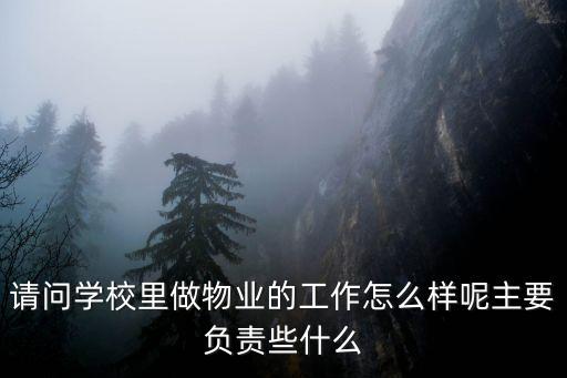 請(qǐng)問(wèn)學(xué)校里做物業(yè)的工作怎么樣呢主要負(fù)責(zé)些什么