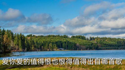 鄭秀文值得，愛就愛得值得恨也恨得值得是哪一首歌里的