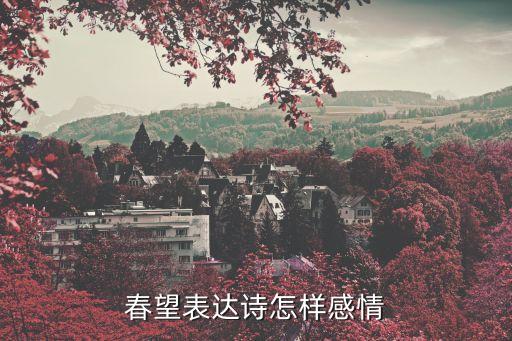 春望表達了詩人怎樣的感情，春望表達了作者怎樣的情感