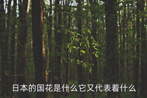 木花開耶姬，木花開耶姫命是什么神
