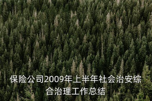 保險公司2009年上半年社會治安綜合治理工作總結