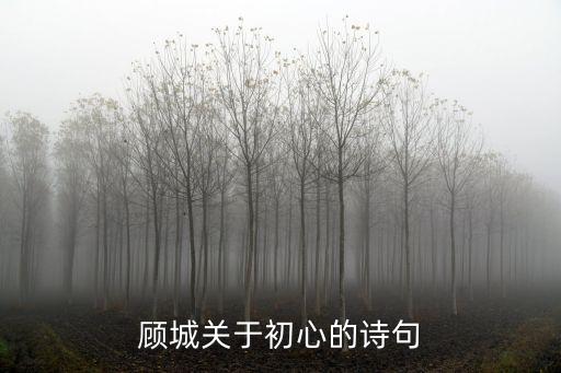 顧城關于初心的詩句