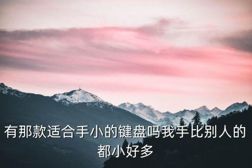 迷你鍵盤，有沒有小型鍵盤