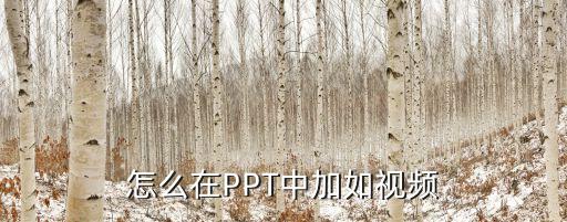 怎么在PPT中加如視頻
