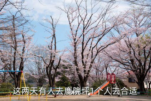 恩施鹿院坪，這兩天有人去鹿院坪1個(gè)人去合適