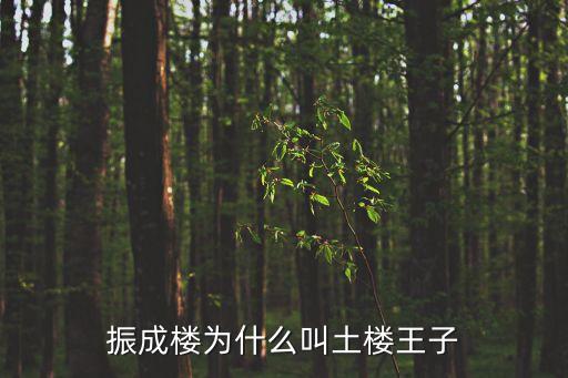 振成樓，振成樓為什么叫土樓王子