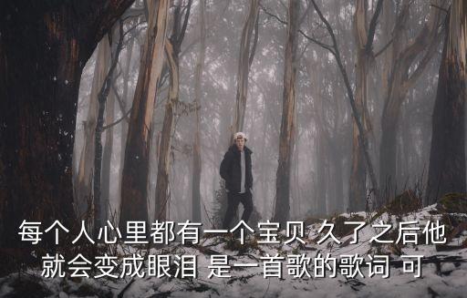 每個人心里都有一個寶貝 久了之后他就會變成眼淚 是一首歌的歌詞 可
