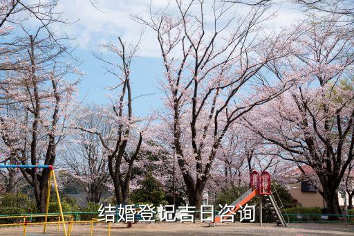結婚黃道吉日查詢，查結婚好日子