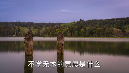 不學無術的意思是什么