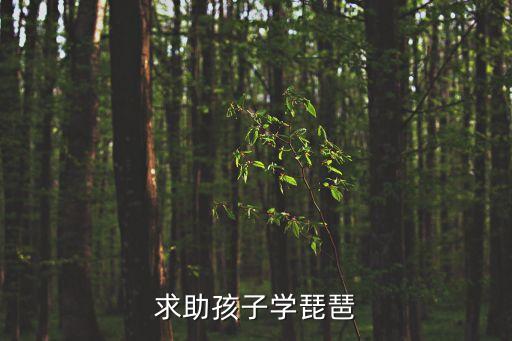 后悔讓女兒學琵琶，13周歲女孩學琵琶好還是古箏好我上五四制的初中二年級別人都