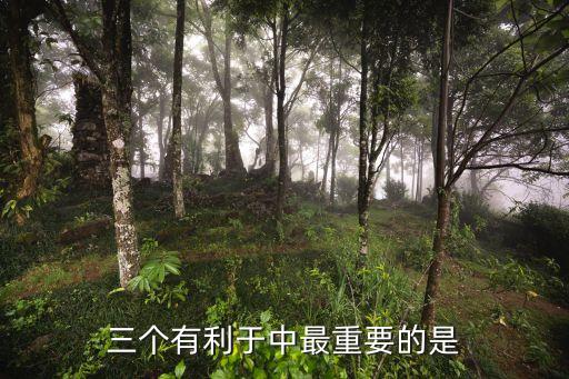三個(gè)有利于中最重要的是