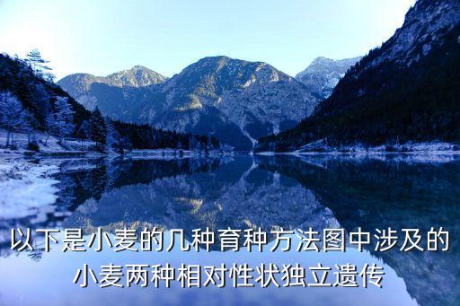 小麥怎么種，怎么小麥種子與復合肥混合下種怎么發牙慢