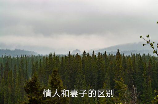 情人與妻子，情人和妻子的區別