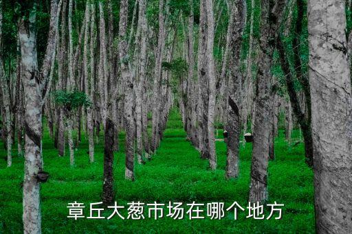 山東章丘大蔥，章丘哪個地方大蔥更正宗
