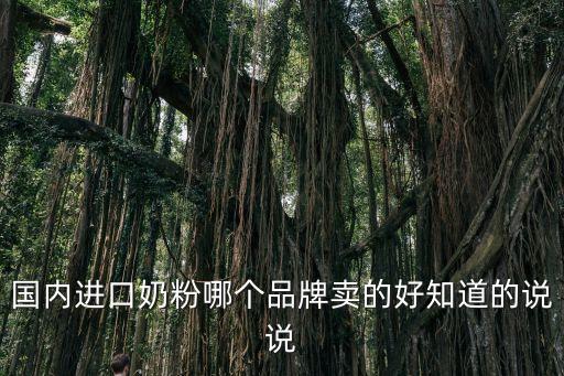 中國進口奶粉品牌，現在國內最好的進口奶粉是哪個牌子