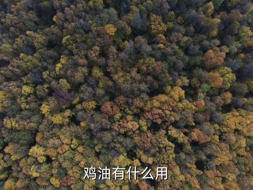雞油，雞油有什么用