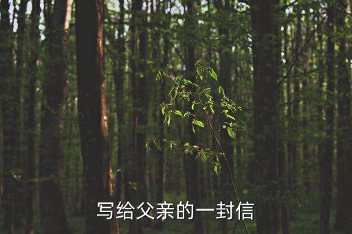寫給父親的一封信