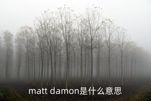 馬特戴蒙，matt damon有哪些作品